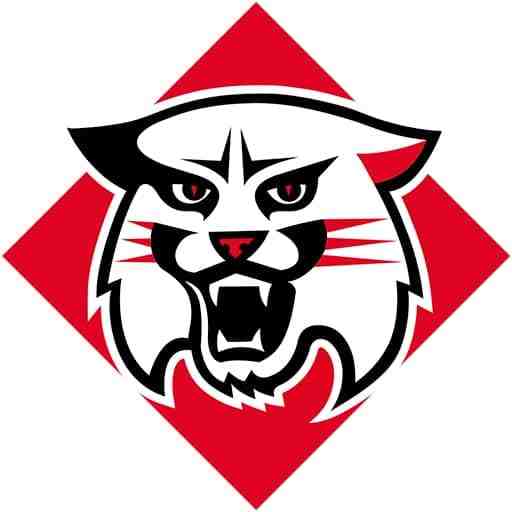 Davidson Wildcats Women's Basketball