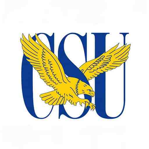 Coppin State Eagles